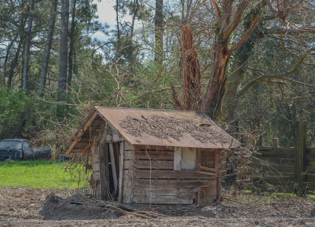Abandoned, falling apart cabin in the countryside of Mississippi