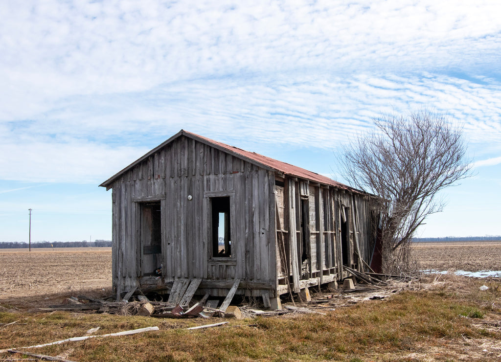 Mississippi Delta Sharecropper Shack 1