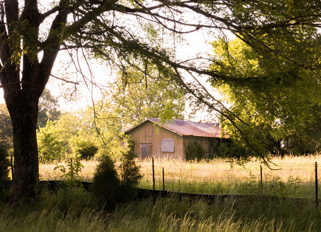 Mississippi barn