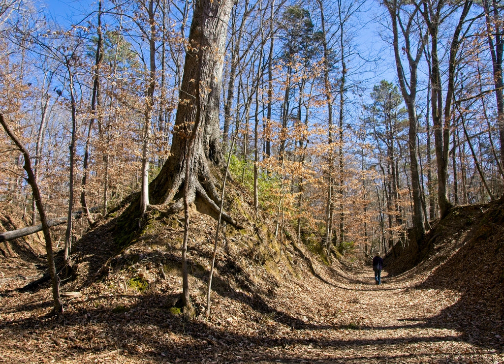 The Sunken Trace on Natchez Trace Parkway in Mississippi USA