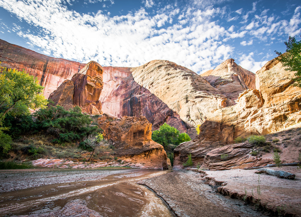Desert canyon stream, Utah
