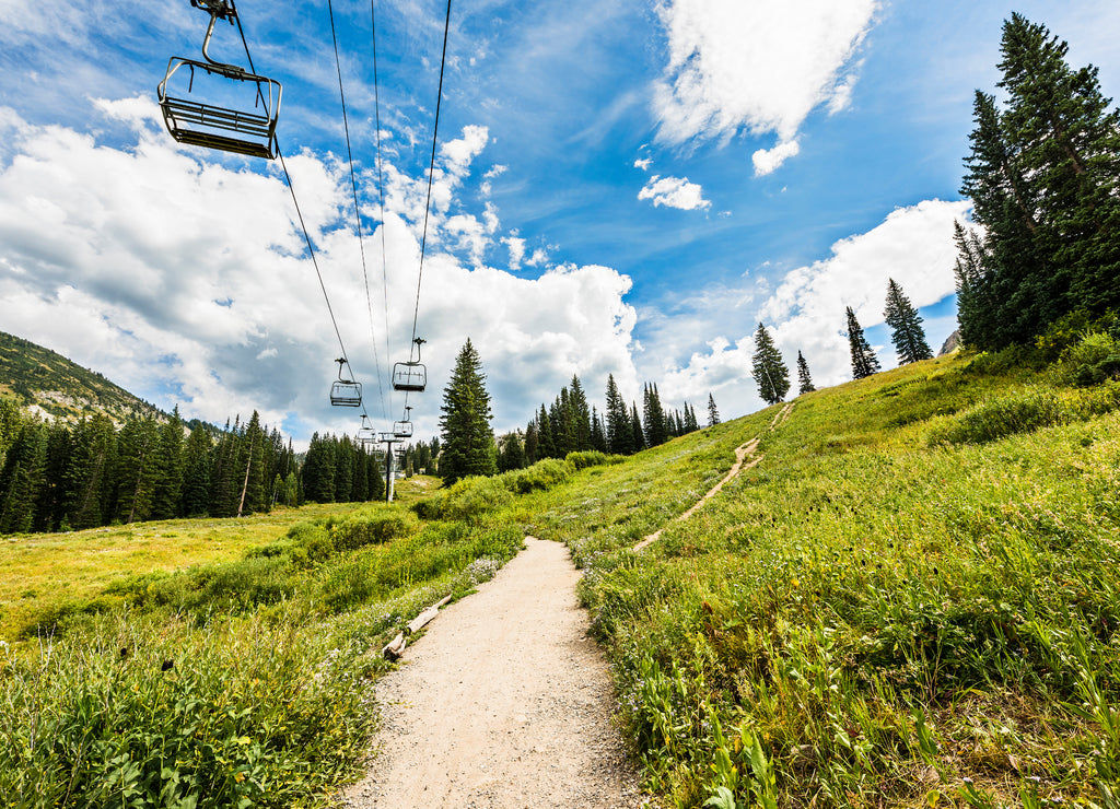 Ski Lift in Alpine Meadows in Albion Basin of Wasatch National Forest, Utah