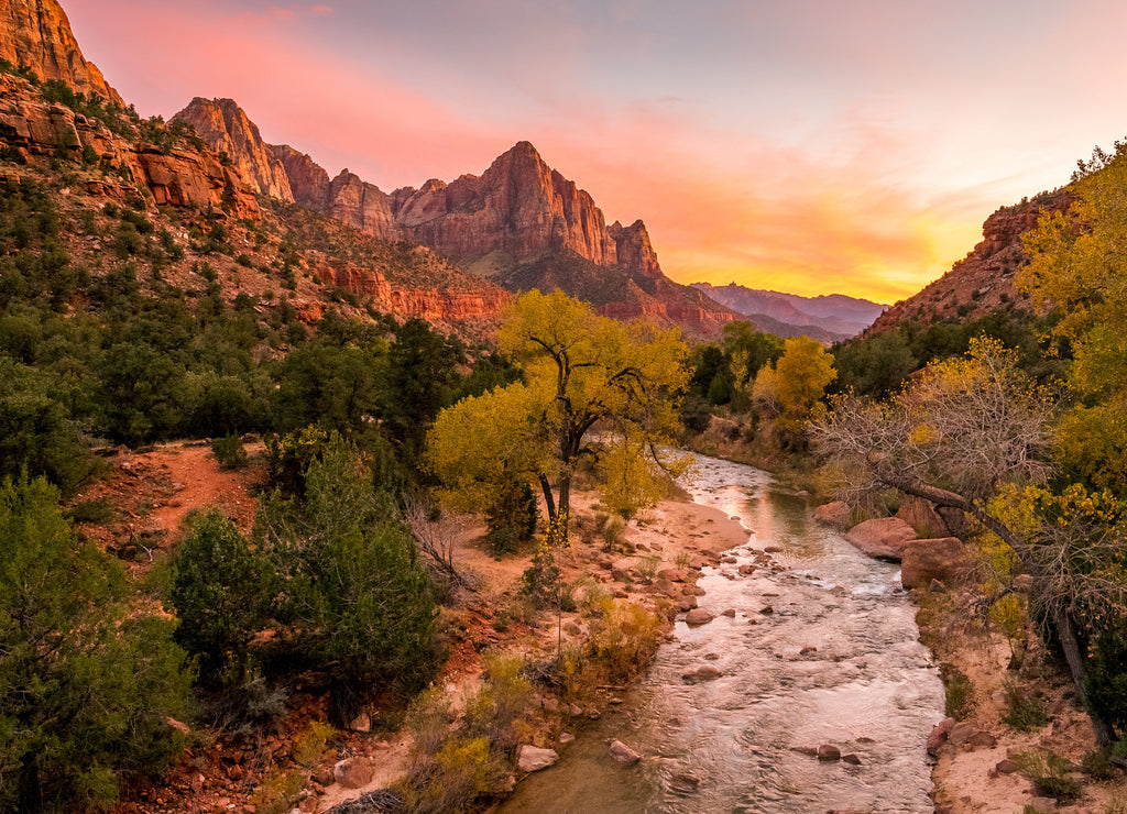 The rays of the sun illuminate red cliffs and river. Park at sunset. A beautiful pink sky. Zion National Park, Utah, USA
