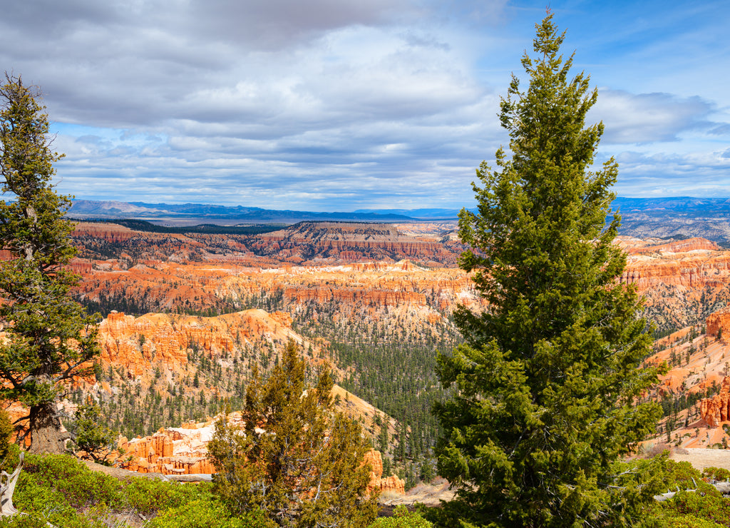 Bryce Canyon National Park, Utah, USA