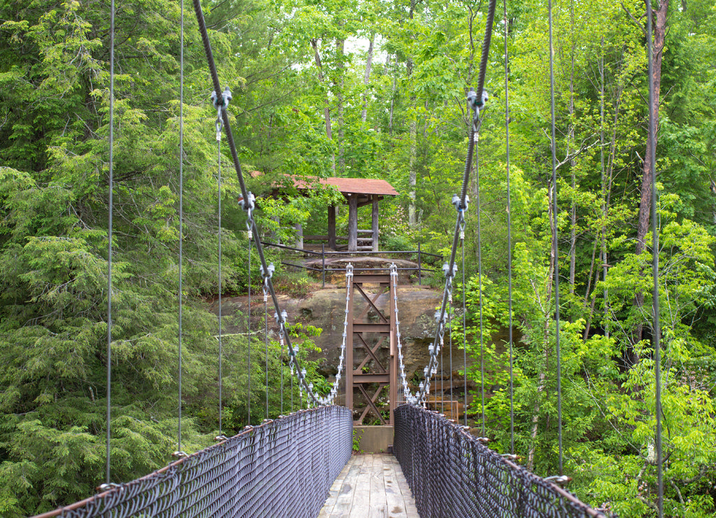Tennessee State Parks. Pedestrian footbridge on a hiking trail through a beautiful Appalachian forest at Pickett State Park in Jamestown, Tennessee