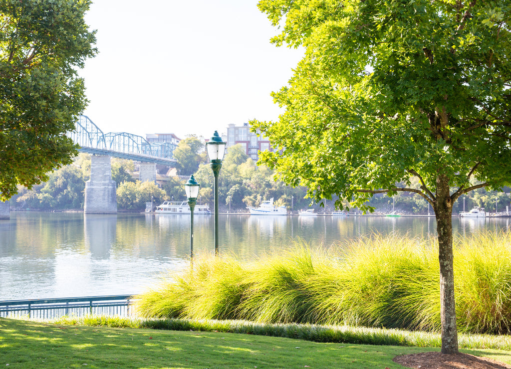 Walnut Street Bridge Chattanooga Tennessee