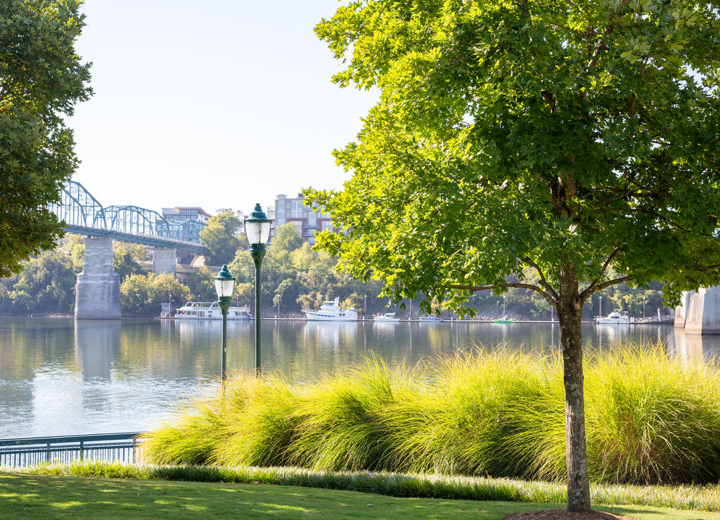 Walnut Street Bridge Chattanooga Tennessee