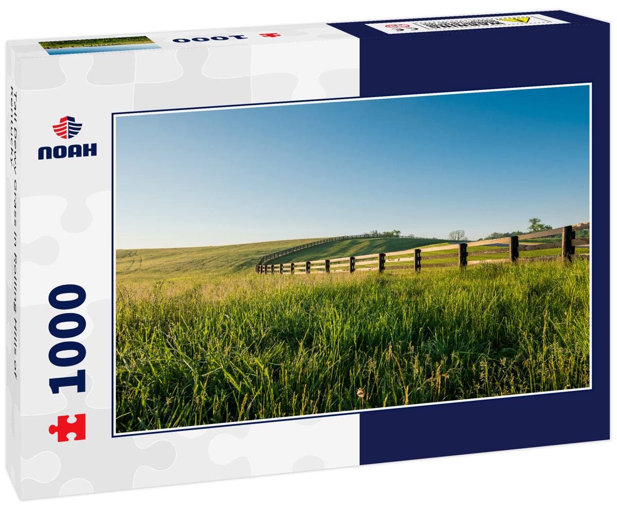 Tall Dewy Grass in Rolling Hills of Kentucky