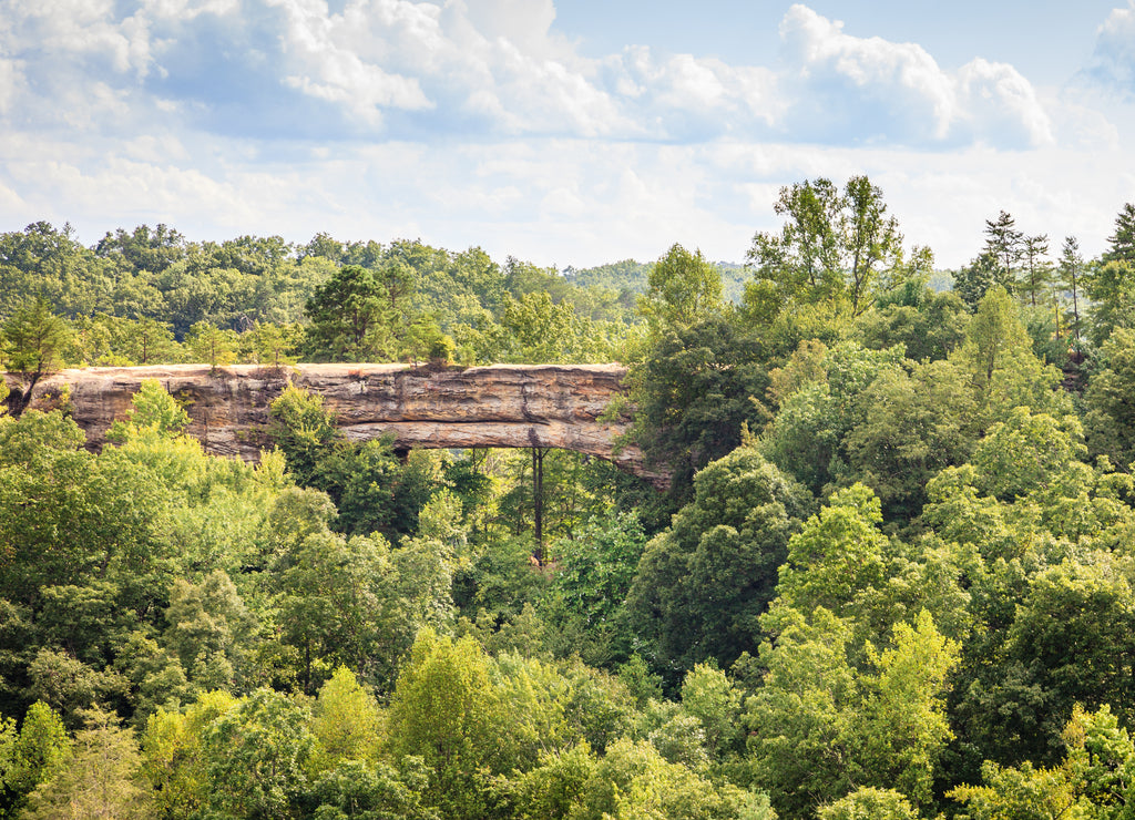 Natural Bridge in Red River Gorge
