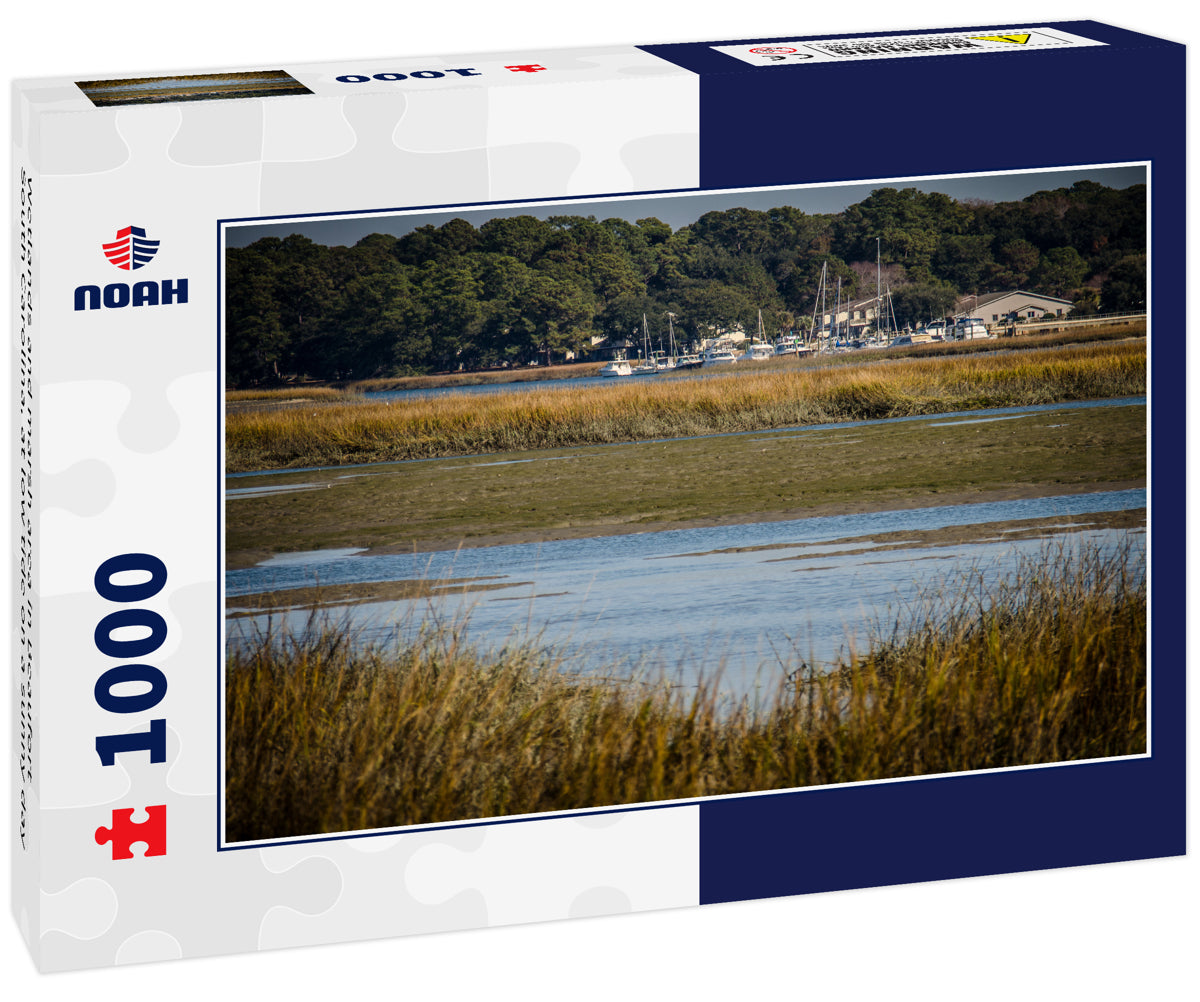 Wetlands and marsh area in Beaufort South Carolina, at low tide on a sunny day