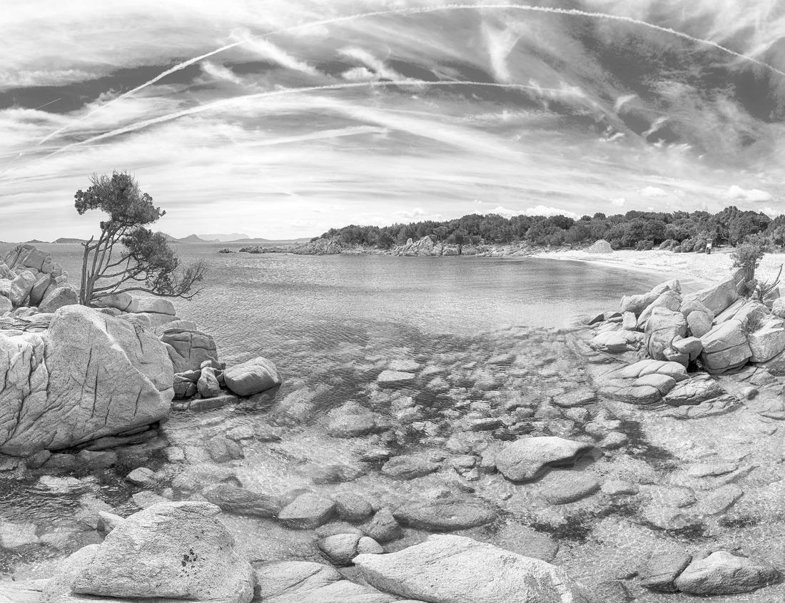 Noah Jigsaw Puzzle Downtown city skyline, Inner Harbor and marina, Baltimore, Maryland, USA in black white 1000 pieces