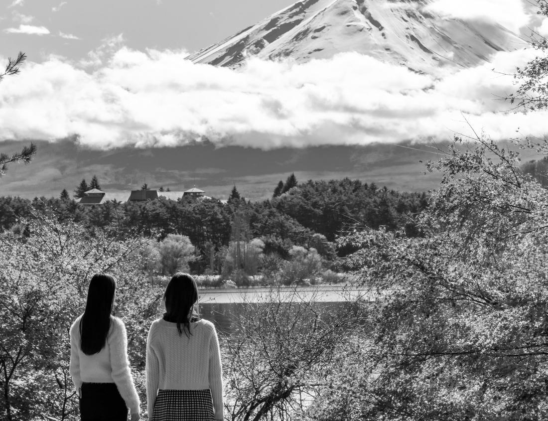 Noah Jigsaw Puzzle Beautiful panorama of the famous botanical garden in Funchal, Madeira, Portugal in black white 1000 pieces