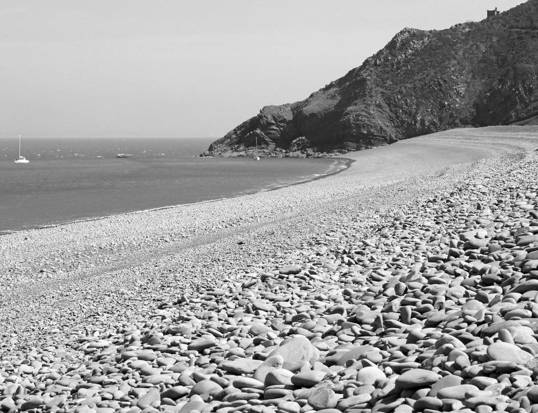 Noah Jigsaw Puzzle Airboats tours in Everglades National Park, Florida in black white 1000 pieces