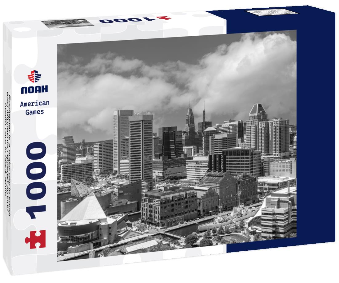 Noah Jigsaw Puzzle Rochester is a major city in south-east Minnesota centered around health care in black white 1000 pieces