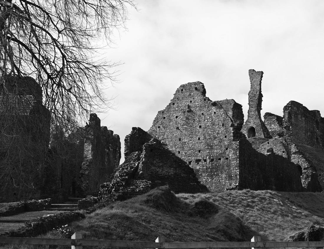 Noah Jigsaw Puzzle Jacksonville, Florida, USA Downtown skyline at dusk over St. Johns River in black white 1000 pieces
