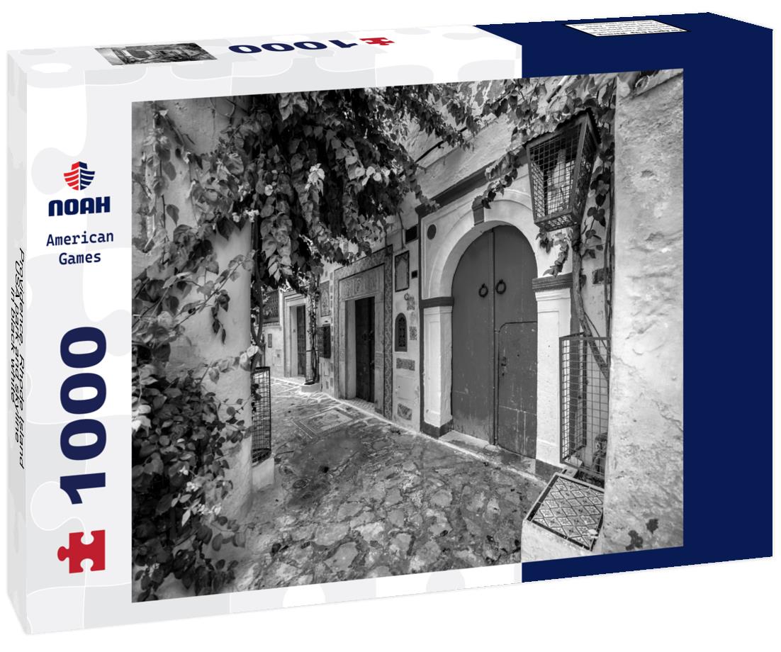 Noah Jigsaw Puzzle Providence, Rhode Island, USA park and skyline in black white 1000 pieces