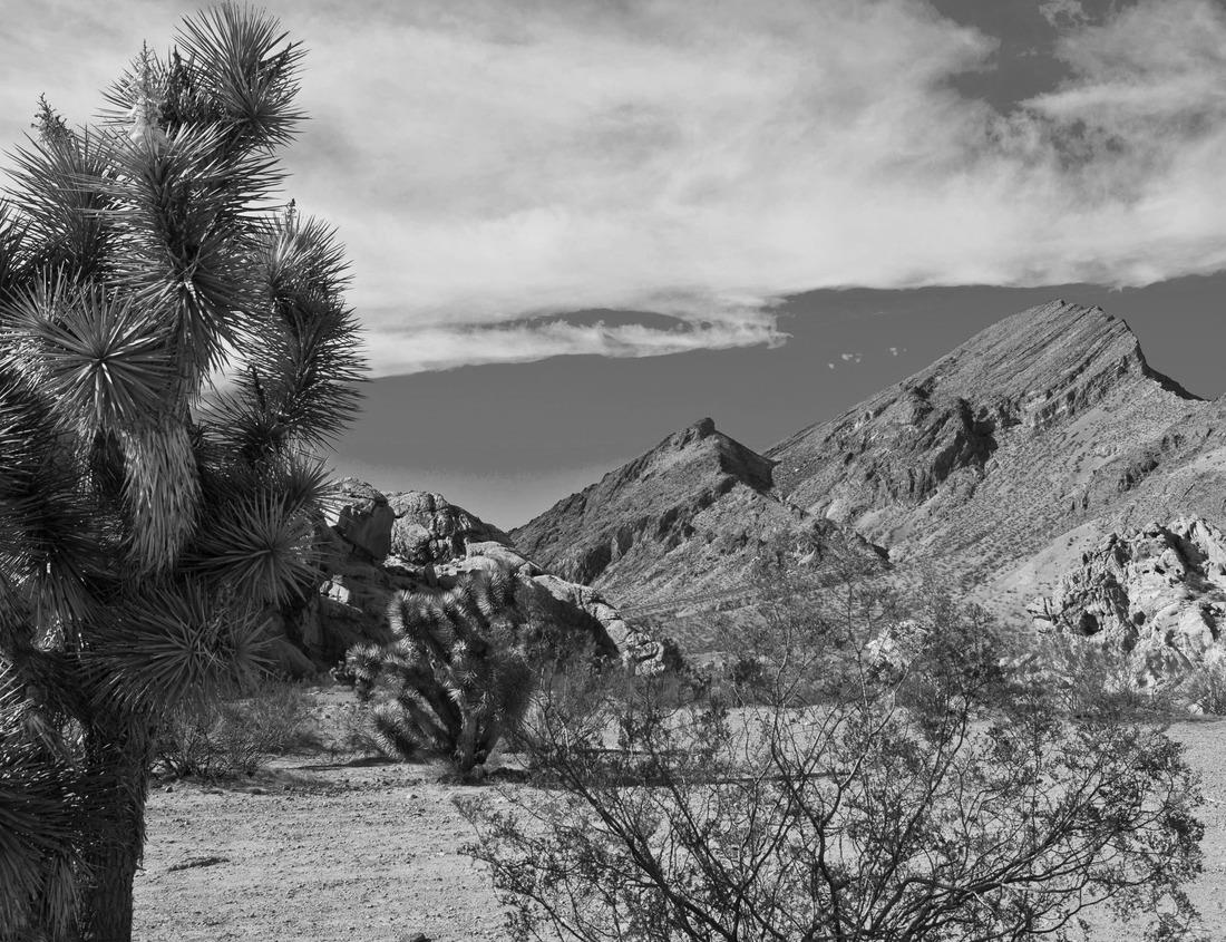 Noah Jigsaw Puzzle Naha, Okinawa, Japan at historic Shuri Castle during twilight in black white 1000 pieces