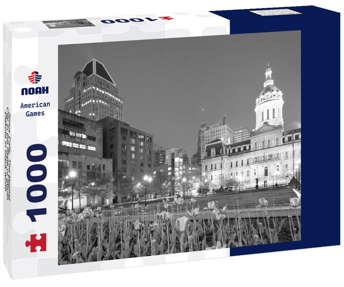 Noah Jigsaw Puzzle Sioux Falls, The largest City in the State of South Dakota in black white 1000 pieces