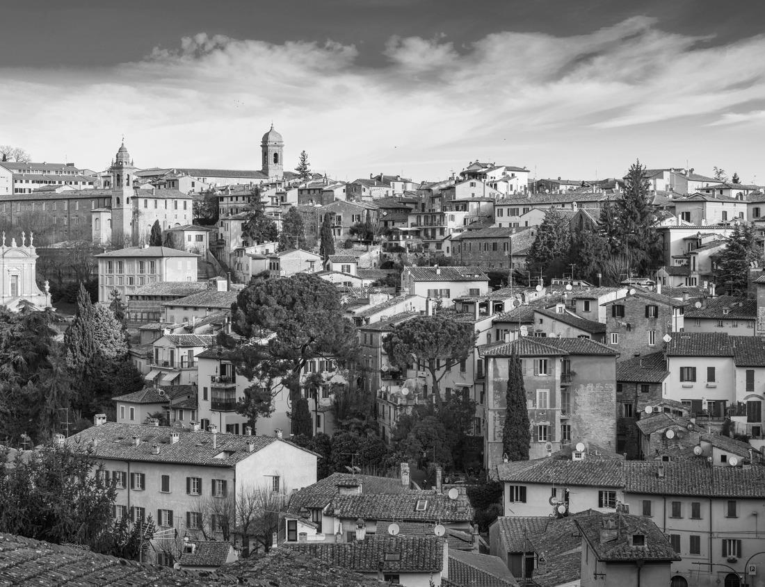 Noah Jigsaw Puzzle Downtown Chattanooga TN Skyline, Coolidge Park and Market Street Bridge in black white 1000 pieces