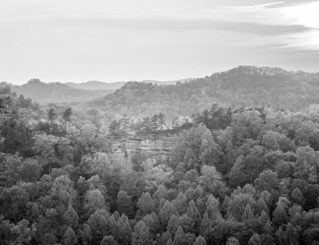 Noah Jigsaw Puzzle Aerial view of Vancouver Bay in Vancouver, Canada in black white 1000 pieces
