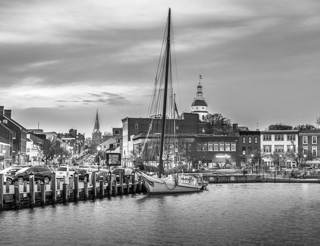 Noah Jigsaw Puzzle Fort Lauderdale, Florida, USA skyline and houses at dusk in black white 1000 pieces