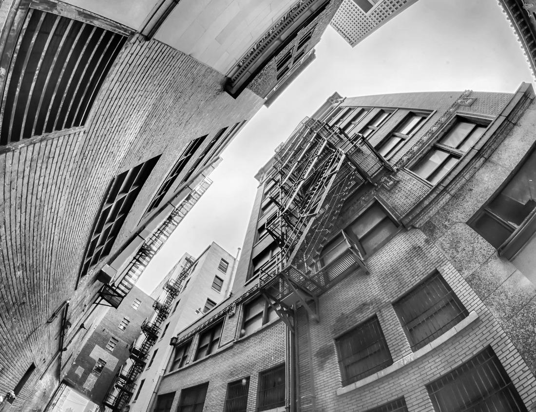 Noah Jigsaw Puzzle Jersey City skyline at sunset in black white 1000 pieces