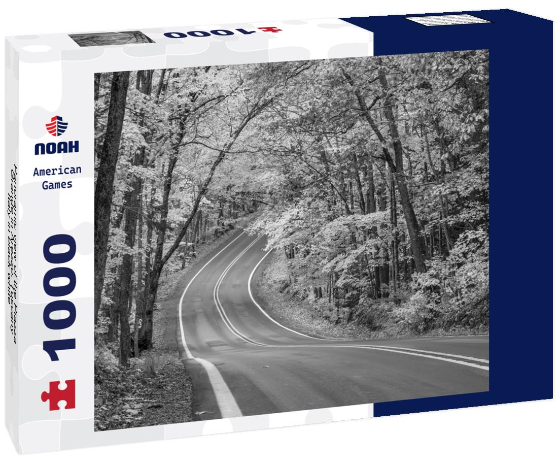 Noah Jigsaw Puzzle Panoramic view of the Piazza Grande in Arezzo, Tuscany, Italy in black white 1000 pieces