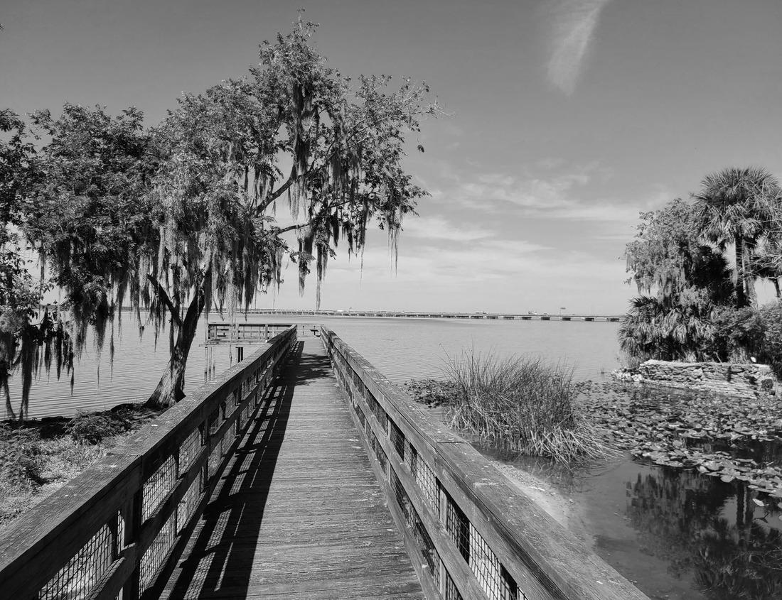 Noah Jigsaw Puzzle Marina of Piombino sunset view from Piazza bovio. Maremma Tuscany Italy in black white 1000 pieces