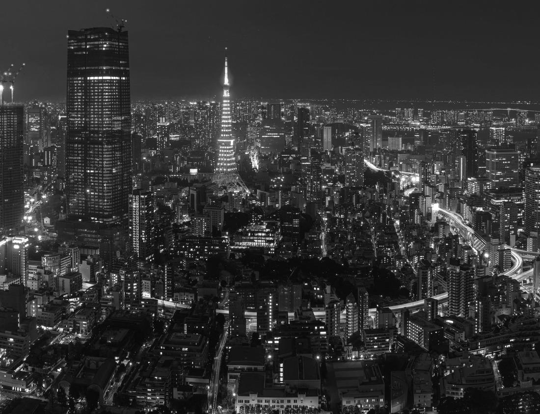 Noah Jigsaw Puzzle Germany's landmark - beautiful Passau in Bavaria. View with famous cathedral and bridge in black white 1000 pieces