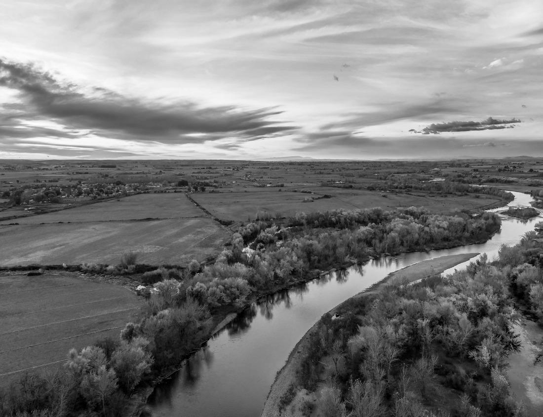 Noah Jigsaw Puzzle Atlanta, Georgia, USA Piedmont Park Skyline in the fall in black white 1000 pieces