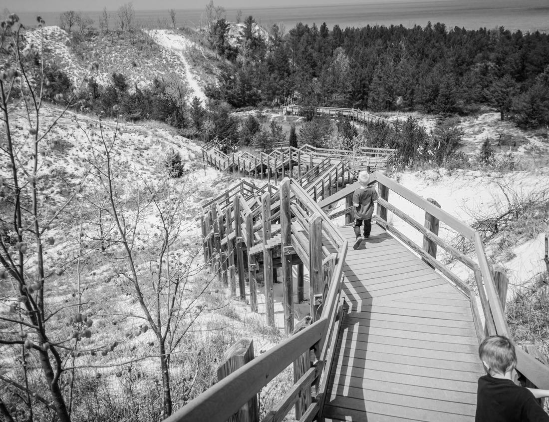 Noah Jigsaw Puzzle Colorado, Gunnison National Park. Scenic in Black Canyon in black white 1000 pieces