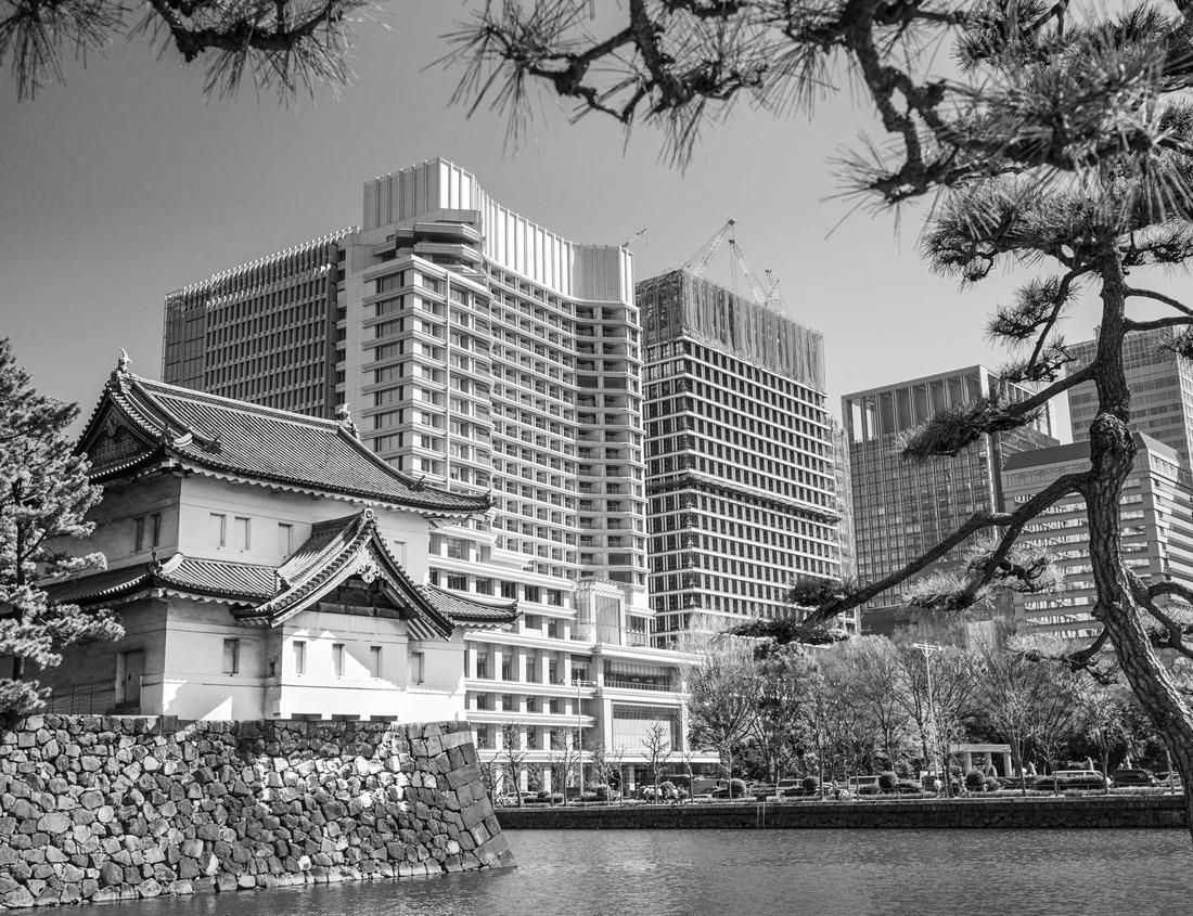 Noah Jigsaw Puzzle Havana, Cuba downtown skyline in black white 1000 pieces