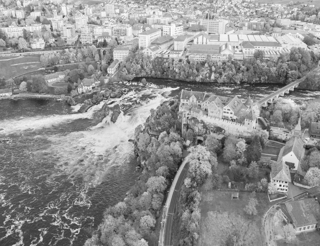 Noah Jigsaw Puzzle Beautiful sunset through the palm trees, Los Angeles, California in black white 1000 pieces