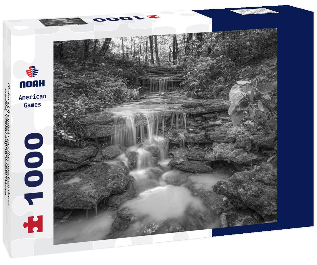 Noah Jigsaw Puzzle Roland fountain on the marketplace of Fritzlar, Kassel region, Hesse, Germany in black white 1000 pieces