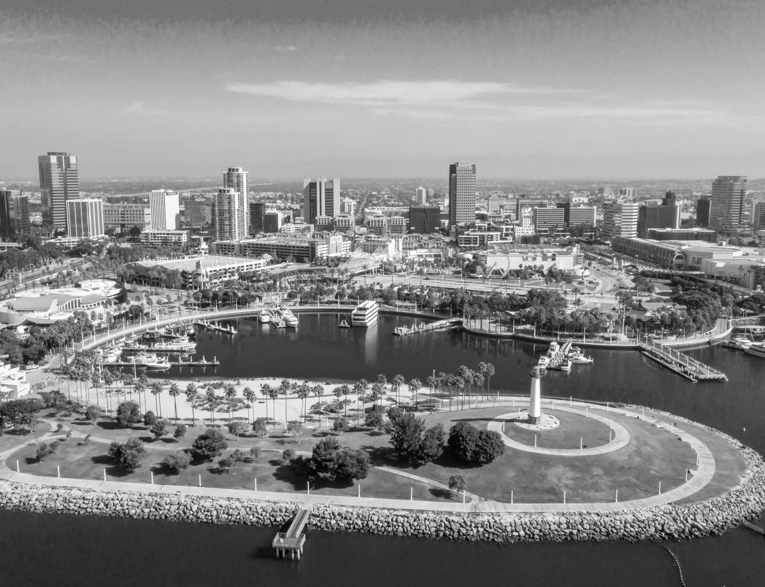 Noah Jigsaw Puzzle Downtown Charlotte North Carolina from First Ward Park in black white 1000 pieces