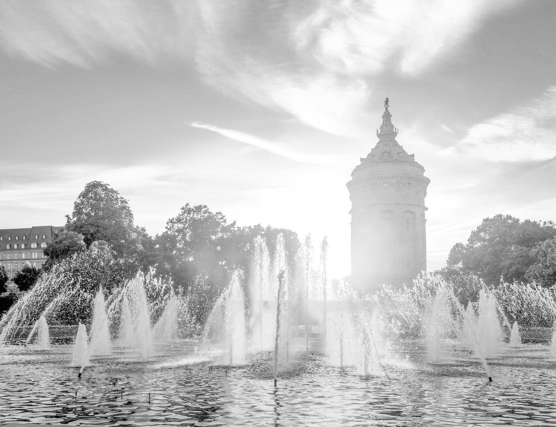Noah Jigsaw Puzzle Archaeological Site of Carthage - The Baths of Antoninus or Baths of Carthage in Tunis in black white 1000 pieces