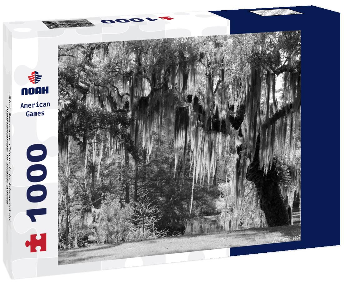 Noah Jigsaw Puzzle Sint Servaas Church in Maastricht, Netherlands in black white 1000 pieces