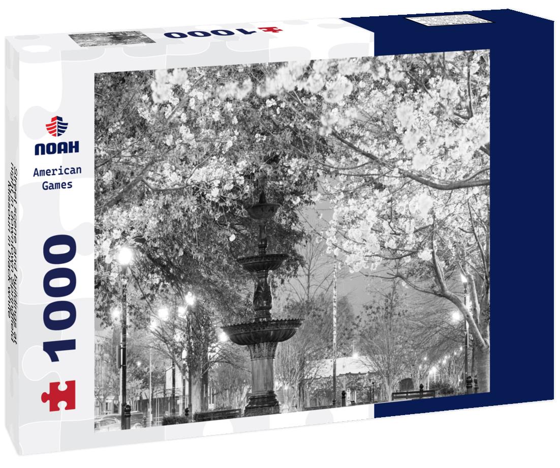 Noah Jigsaw Puzzle Street scene and buildings at night in downtown Springfield, Missouri in black white 1000 pieces