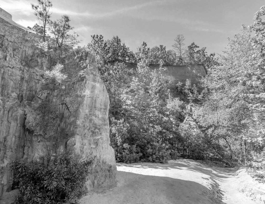 Noah Jigsaw Puzzle Atlanta, Georgia, USA downtown and midtown skyline at dusk in black white 1000 pieces