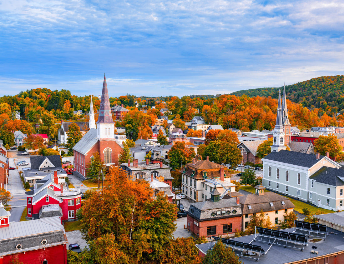 Noah Jigsaw Puzzle Montpelier, Vermont, USA autumn town skyline 1000 pieces