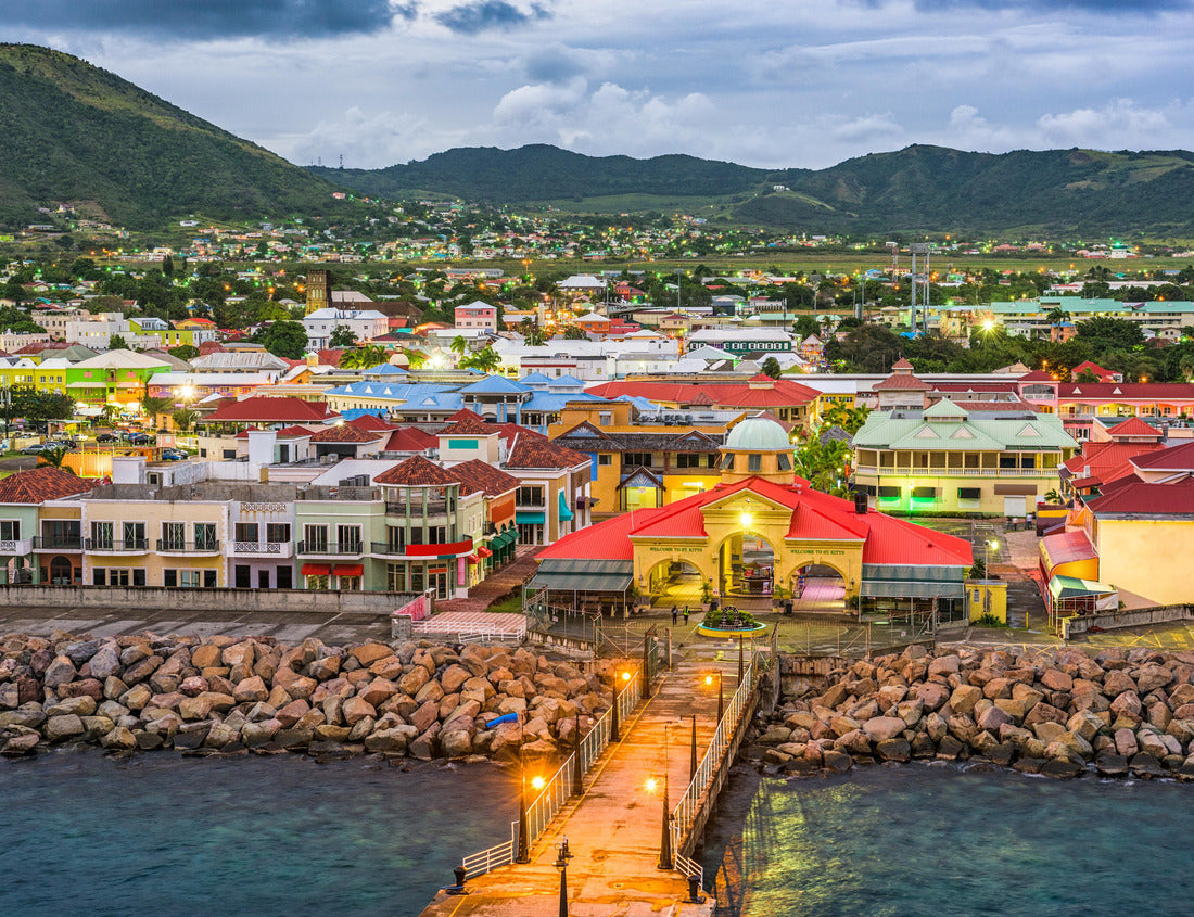 Noah Jigsaw Puzzle Basseterre, St. Kitts and Nevis town skyline at the port 1000 pieces