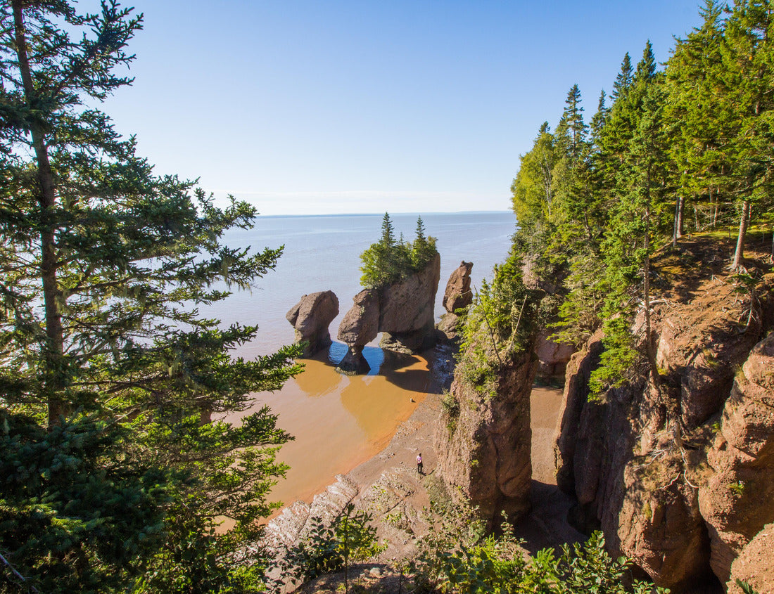 Noah Jigsaw Puzzle Flower Pots in New Brunswick, Canada 1000 pieces