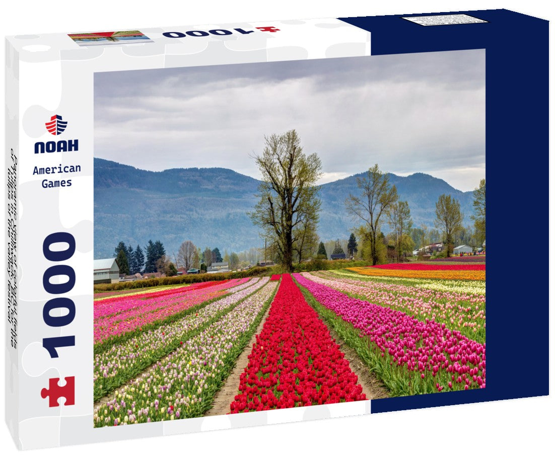 Noah Jigsaw Puzzle Panoramic view of colorful fields of Tulips in Chilliwack, BC for the tulips of the valley festival 1000 pieces
