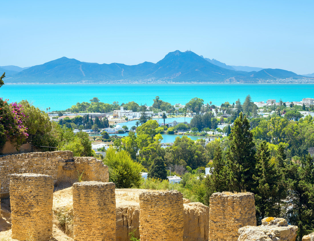 Noah Jigsaw Puzzle Landscape with ancient ruins of Carthage. Tunisia, Africa 1000 pieces