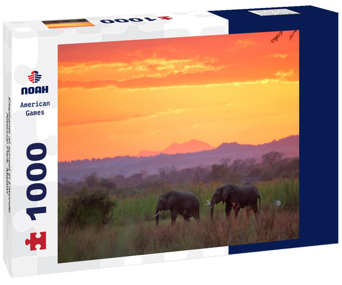 Noah Jigsaw Puzzle Elephants at sunset in Liwonde National Park. Malawi 1000 pieces