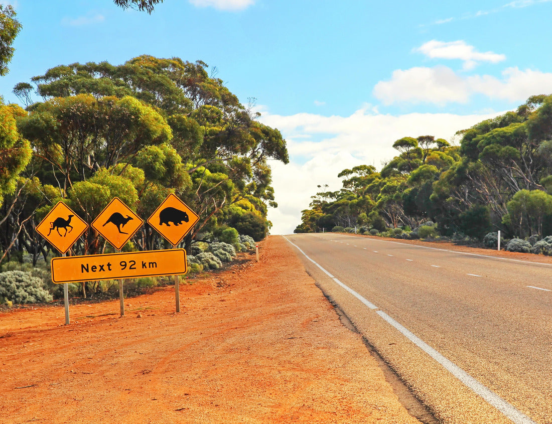 Noah Jigsaw Puzzle Crossing the Nullarbor 1000 pieces