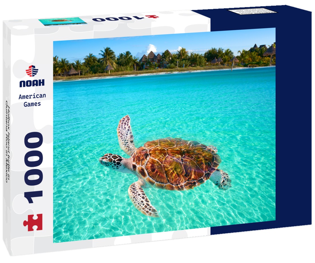 Noah Jigsaw Puzzle Holbox Island turtle in Quintana Roo in Mexico 1000 pieces