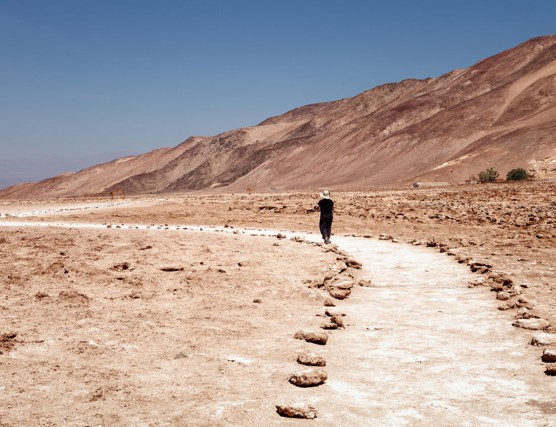Noah Jigsaw Puzzle geoglyphs Pintados Cerros, near the town of Pica, in the commune of Pozo Almonte, northern Chile 1000 pieces