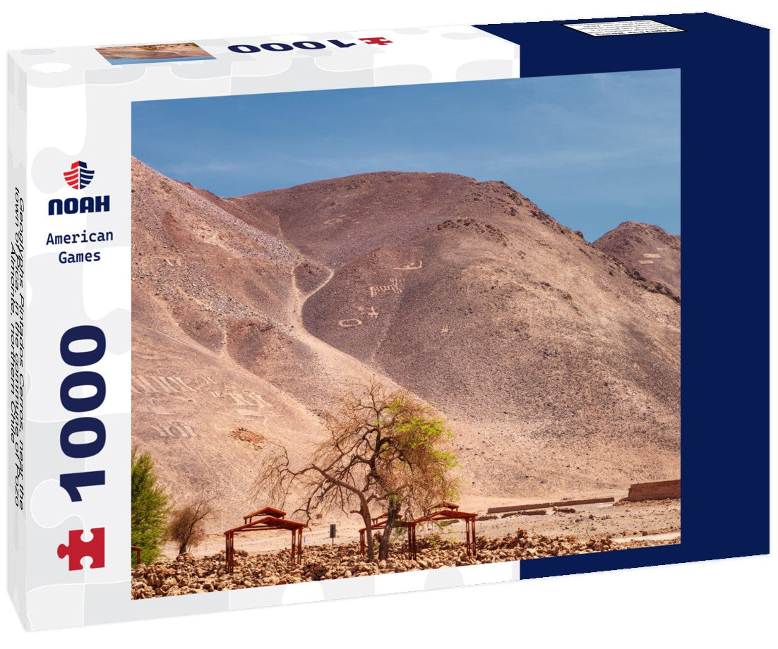 Noah Jigsaw Puzzle Geoglyphs Pintados Cerros, near the town of Pica, in the commune of Pozo Almonte, northern Chile 1000 pieces