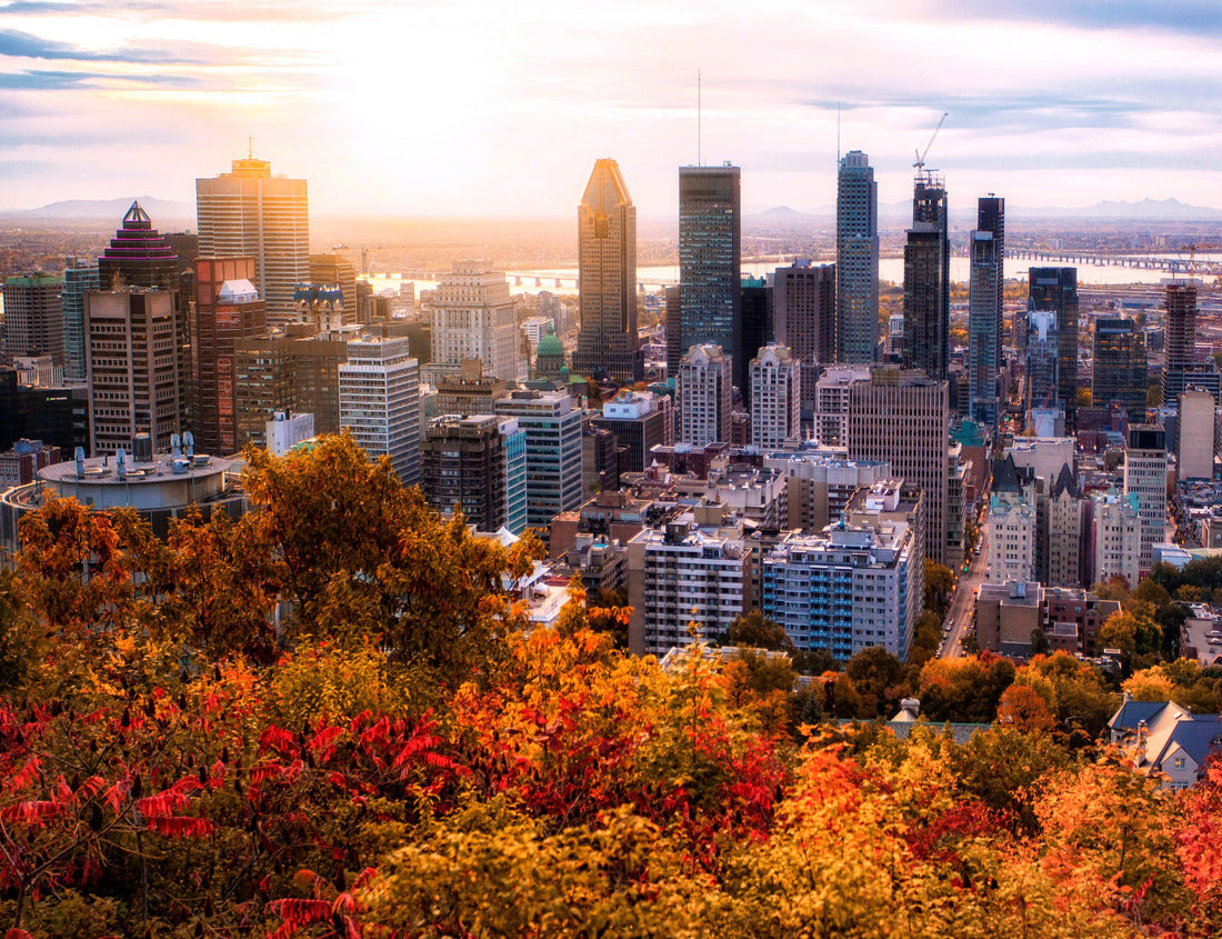 Noah Jigsaw Puzzle Montreal sunrise with colorful leaves 1000 pieces